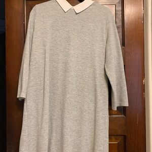 Zara Light Gray Dress with Cream Collar